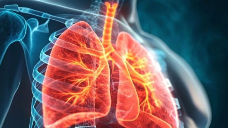 Macrol 500 ilacı nedir, ne işe yarar, nasıl kullanılır ve fiyatı...