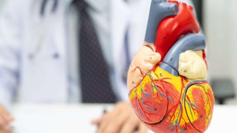 Beloc Zok 50 mg nedir, ne işe yarar, kimler kullanır ve fiyatı ne kadar?