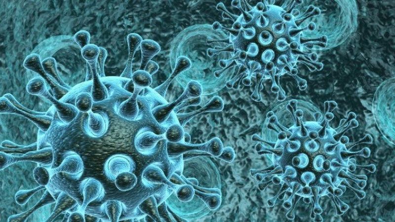 Klamoks 1000 mg nedir nedir, ne işe yarar, kimler kullanır ve fiyatı ne kadar?