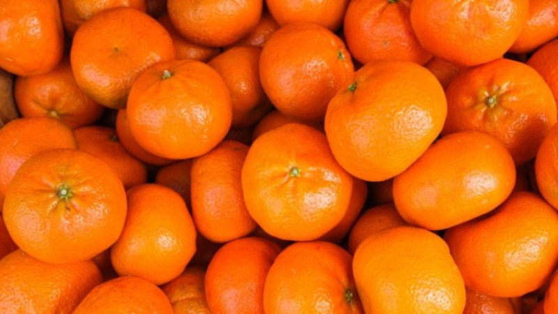 Mandalina hangi vitamin ve değeri nedir?