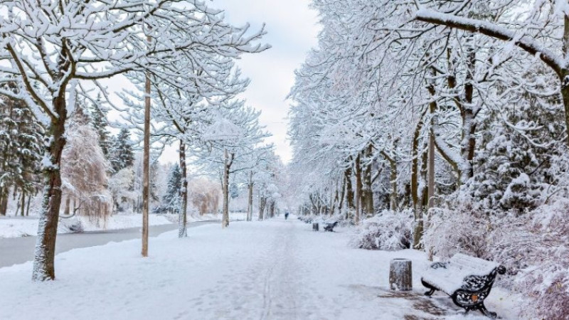 Gümüşhane’de yarın okullar var mı yok mu? 12 Ocak 2026 okullar tatil mi?