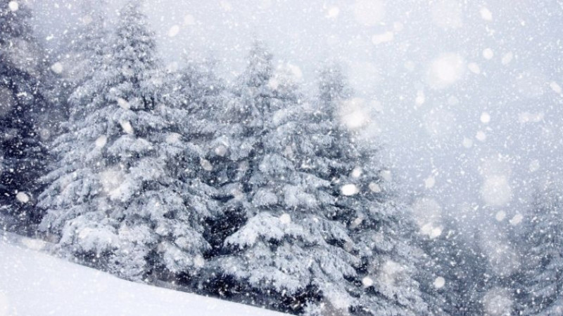 Kahramanmaraş’ta yarın okullar var mı yok mu? 12 Ocak 2026 okullar tatil mi?