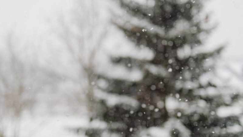 Bolu okullar tatil mi? 2 Ocak yarın Bolu okullar tatil mi?