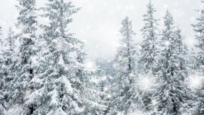 Şırnak okullar tatil mi? 2 Ocak yarın Şırnak okullar tatil mi?