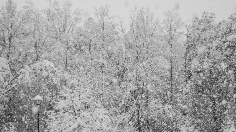 Şırnak okullar tatil mi? 2 Ocak yarın Şırnak okullar tatil mi?