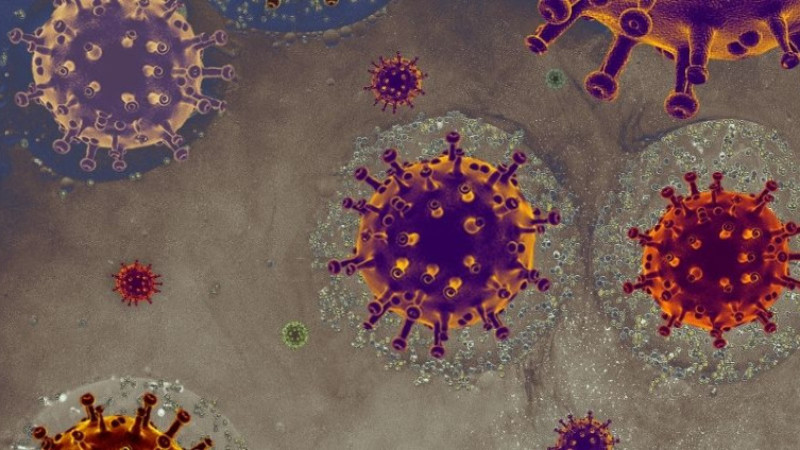 E vitamini ne işe yarar,  nedir, nasıl anlaşılır, belirtileri ve neden olur? Çözümü nedir?