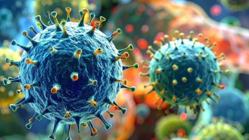 Cefec 1000 mg Nedir, Ne İşe Yarar, Nasıl Kullanılır, Kimler Kullanır ve Yan Etkileri Neler? Fiyatı...