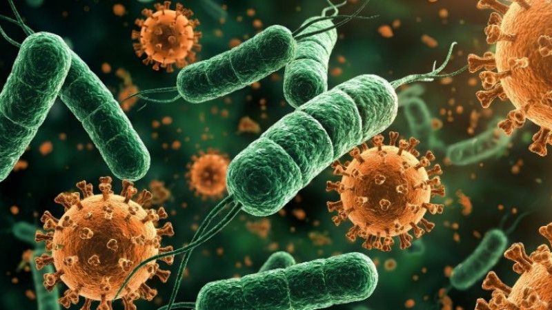 Croxilex Bid 1000 mg Nedir, Ne İşe Yarar, Nasıl Kullanılır, Kimler Kullanır ve Yan Etkileri Neler? Fiyatı...