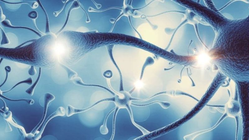 Neruda 300 mg Nedir, Ne İşe Yarar, Nasıl Kullanılır, Kimler Kullanır ve Yan Etkileri Neler? Fiyatı...